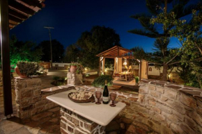 Naxos Chora Villa ''Vaporias'' with amazing garden